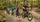 Mountainbike Schule & Academy Vulkanregion Vogelsberg am Hoherodskop