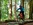 Mountainbike Schule & Academy Vulkanregion Vogelsberg am Hoherodskop