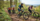 Mountainbike Schule & Academy Vulkanregion Vogelsberg am Hoherodskop