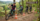 Mountainbike Schule & Academy Vulkanregion Vogelsberg am Hoherodskop