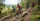 Mountainbike Schule & Academy Vulkanregion Vogelsberg am Hoherodskop